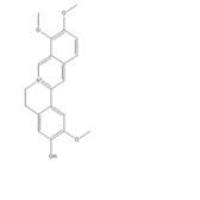 盐酸药根碱6681-15-8折扣