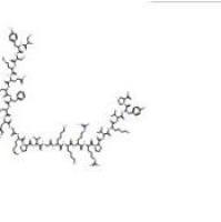 替可克肽16960-16-0折扣