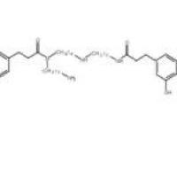 地骨皮乙素164991-67-7价格
