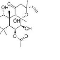 异佛司可林64657-21-2价格