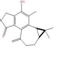 麻枫树酚酮B71386-38-4价格