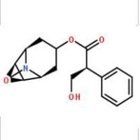 东莨菪碱51-34-3包装