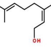 橙花醇106-25-2厂家