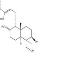 脱水穿心莲内酯134418-28-3厂家
