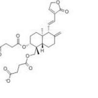 穿琥宁76958-99-1厂家