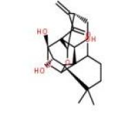 冬凌草乙素52617-37-5价格