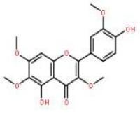 金腰乙素603-56-5价格