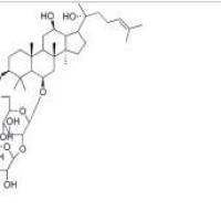 三七皂苷R2(R型)948046-15-9包装