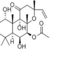 佛司可林66575-29-9价格