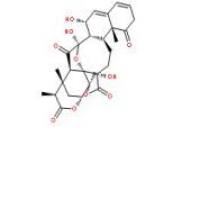 酸浆苦味素L113146-74-0价格