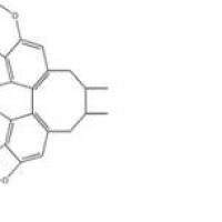 五味子甲素61281-38-7包装