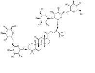 11-0-罗汉果苷V126105-11-1厂家