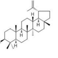羽扇豆醇545-47-1包装