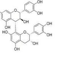 原花青素B429106-51-2价格