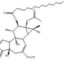 伏波醇-12-十四烷酸酯-13-乙酸酯16561-29-8厂家