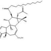 伏波醇-12-十四烷酸酯-13-乙酸酯16561-29-8厂家
