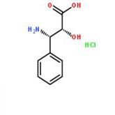 (2R,3S)-3-苯基异丝氨酸盐酸盐132201-32-2厂家