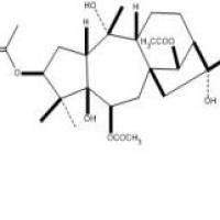 闹羊花毒素V37720-86-8价格