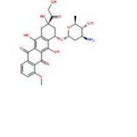 表阿霉素56420-45-2价格