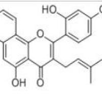桑辛素62596-29-6厂家