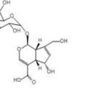去乙酰基车叶草苷酸14259-55-3包装