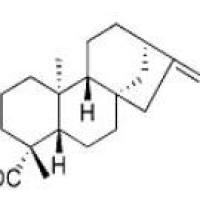 异贝壳杉烯酸6730-83-2包装