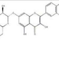 槲皮素-7-O-葡萄糖苷491-50-9价格