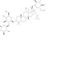 人参皂苷RD52705-93-8价格