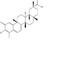 雷公藤红素34157-83-0折扣