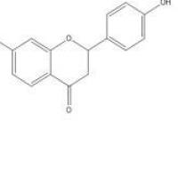 甘草素578-86-9价格