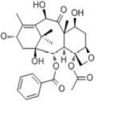 10-脱乙酰巴卡亭32981-86-5价格