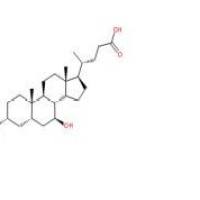 熊脱氧胆酸128-13-2厂家