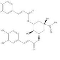 异绿原酸A2450-53-5折扣