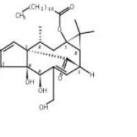 正十二烷酸巨大戟酯54706-70-6折扣