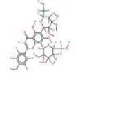 新西兰牡荆苷223666-13-9厂家