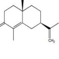 α-香附酮473-08-5价格