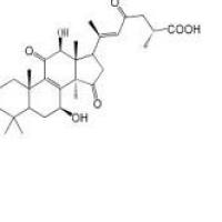 灵芝烯酸E110241-23-1折扣
