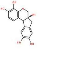 苏木素517-28-2包装