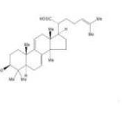 松苓新酸29220-16-4包装