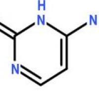 胞嘧啶71-30-7包装