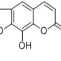 花椒毒酚2009-24-7包装