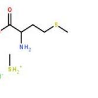 维生素U3493/12/7折扣
