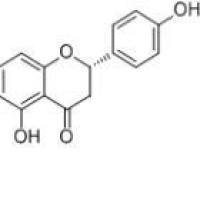 柚皮素480-41-1折扣