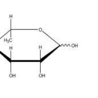 鼠李糖6155-35-7价格