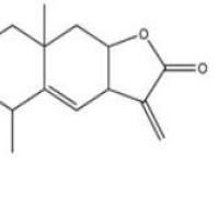 土木香内酯546-43-0包装