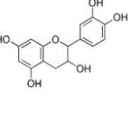 表儿茶素490-46-0包装