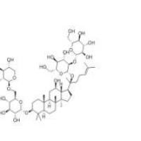 20(R)人参皂苷Rg338243-03-7包装