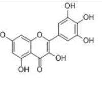 杨梅素529-44-2厂家