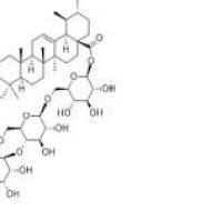 积雪草苷16830-15-2厂家