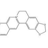 黄连碱3486-66-6包装